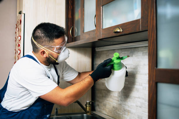 Best Local Pest Control Services  in Arcanum, OH