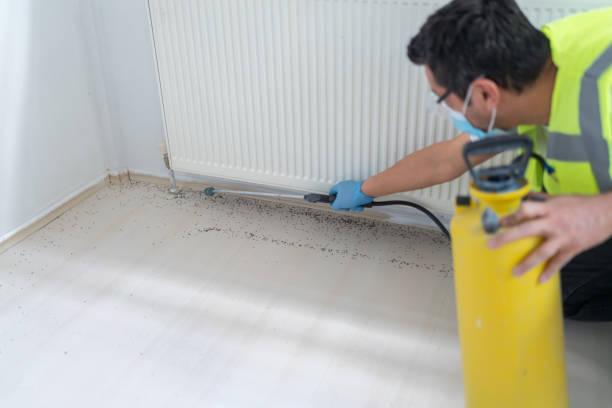 Best Pest Control Near Me in Arcanum, OH