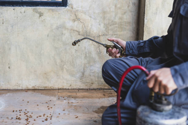 Best Affordable Pest Control Services  in Arcanum, OH